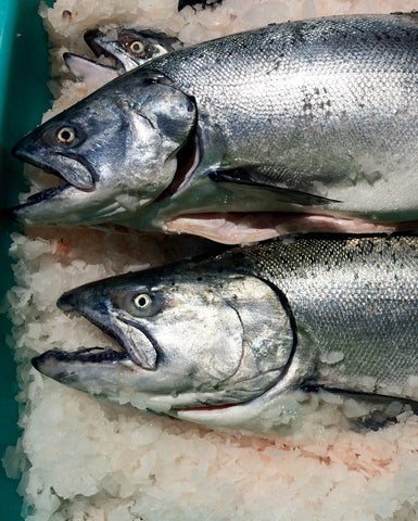 Fresh Raw and Cooked Seafood